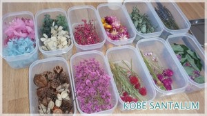 ボタニカルアロマワックスバー01kobesantalum