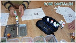 ボタニカルアロマワックスバー02kobesantalum